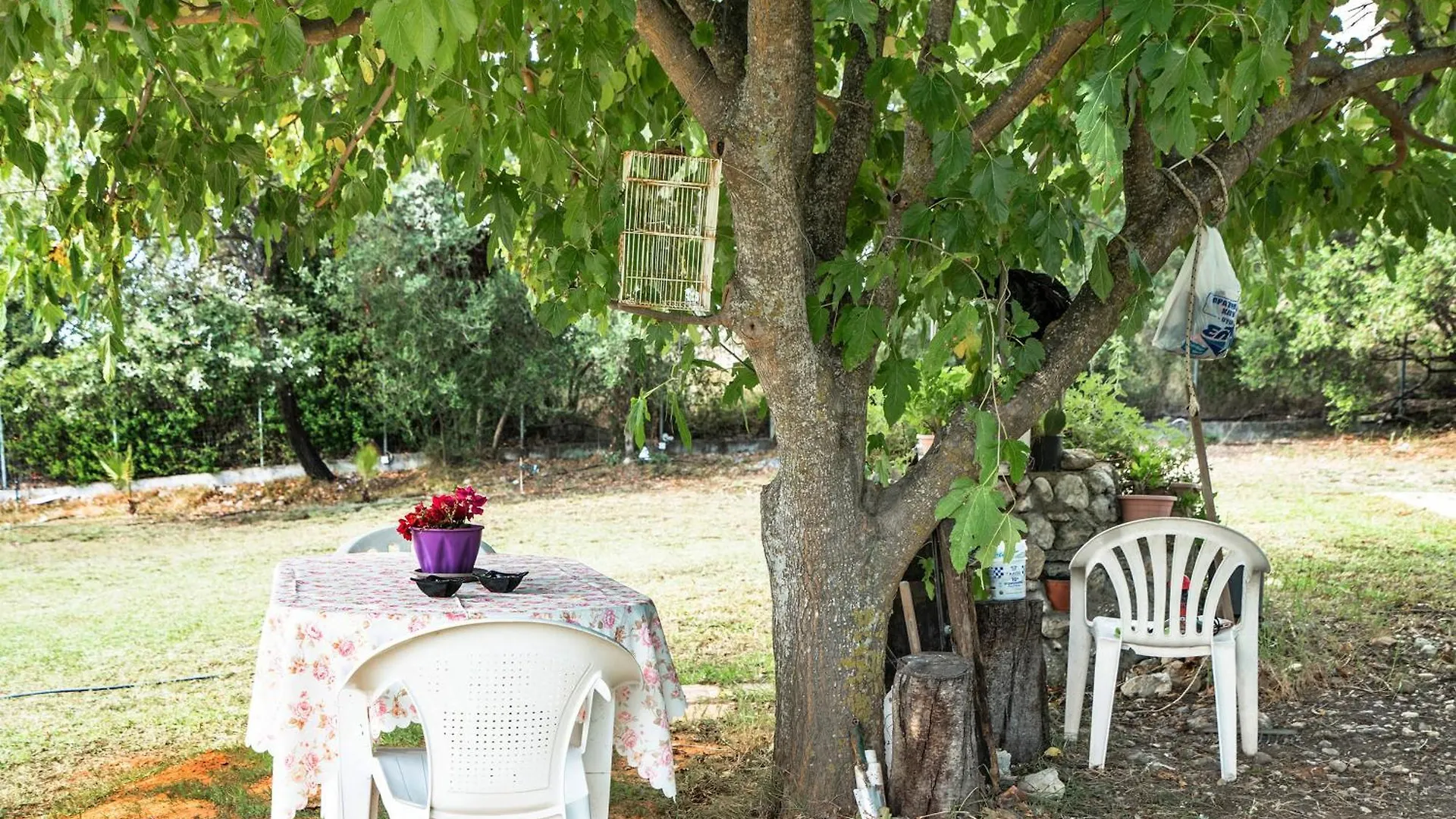 Spyros Apartment Markopoulo  Greece